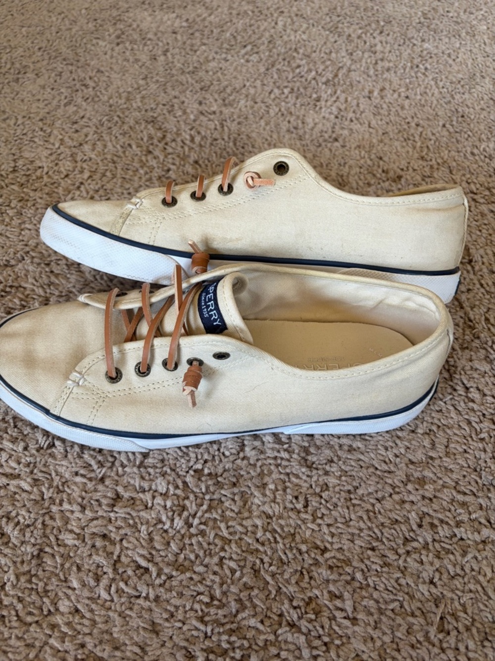 Sperry Low-Top Canvas Sneakers in Beige with Brown Laces - Picture 7 of 8